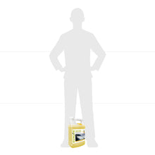Load image into Gallery viewer, Sun Joe Premium Snow Foam Pressure Washer Rated Car Wash Soap + Cleaner, Pineapple Scent | 1 Gal.

