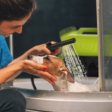 Load image into Gallery viewer, Sun Joe WA24C-LT-RED 24-Volt iON+ Multi-Purpose Clean-Anywhere Portable Spray Washer Kit | 116-PSI | 5-Gal | W/ 2.5-Ah Battery and Charger (Red)
